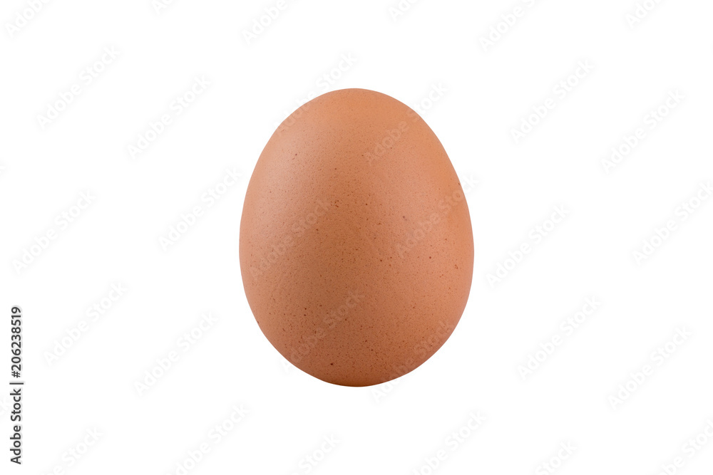 egg isolated on white background - clipping paths egg isolated on white background - clipping paths