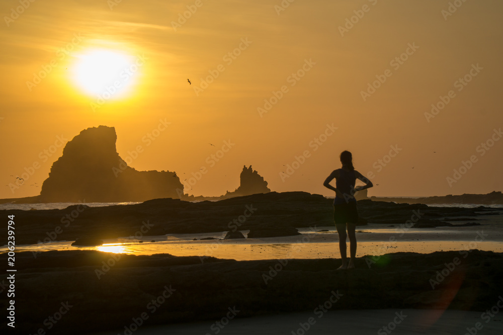silhouette of a woman is looking into the sunset at the beach. With reflections and birds in the sky. silhouette of a woman is looking into the sunset at the beach. With reflections and birds in the sky.