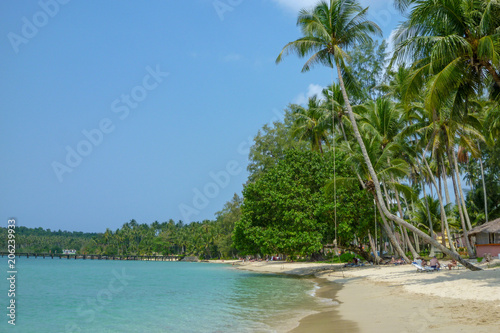 Palm trees on beautiful tropical beach on Koh Kood island
