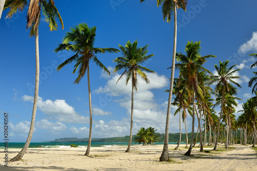 The Rincon beach wild and hard to reach on the Samana peninsula in Dominican Republic