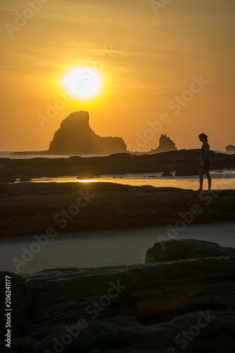 silhouette of a woman is looking into the sunset at the beach. With reflections and birds in the sky.