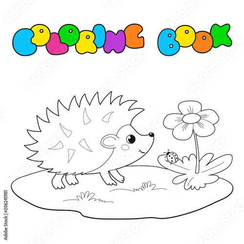 Vector outline of cute hedgehog isolated on white background. Coloring book for kids