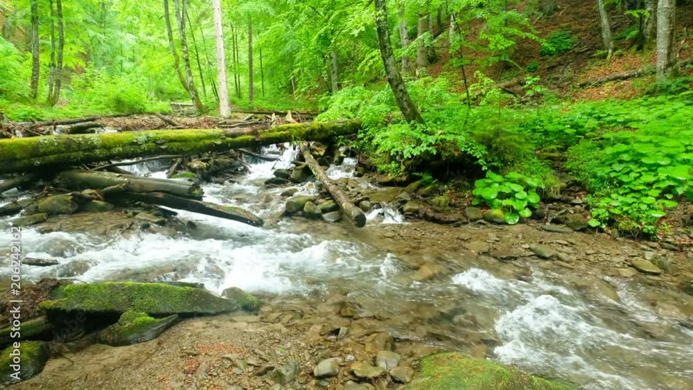 Smoky Mountain Stream. Smoky Mountain stream rushes through the lush forest of the Great Smoky Mountains National Park along the Little River Road