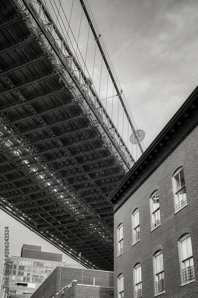 Under the Brooklyn Bridge, New York City, USA.