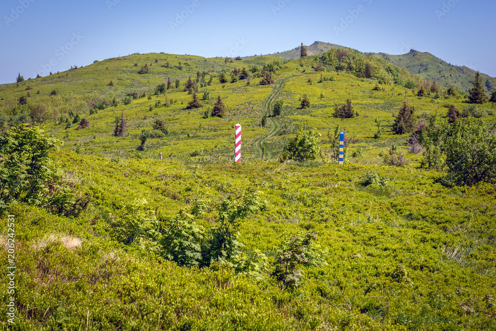 Obraz premium Border markes on a Polish-Ukraine boundary, seen from a trail in Bieszczady Mountains National Park, Poland