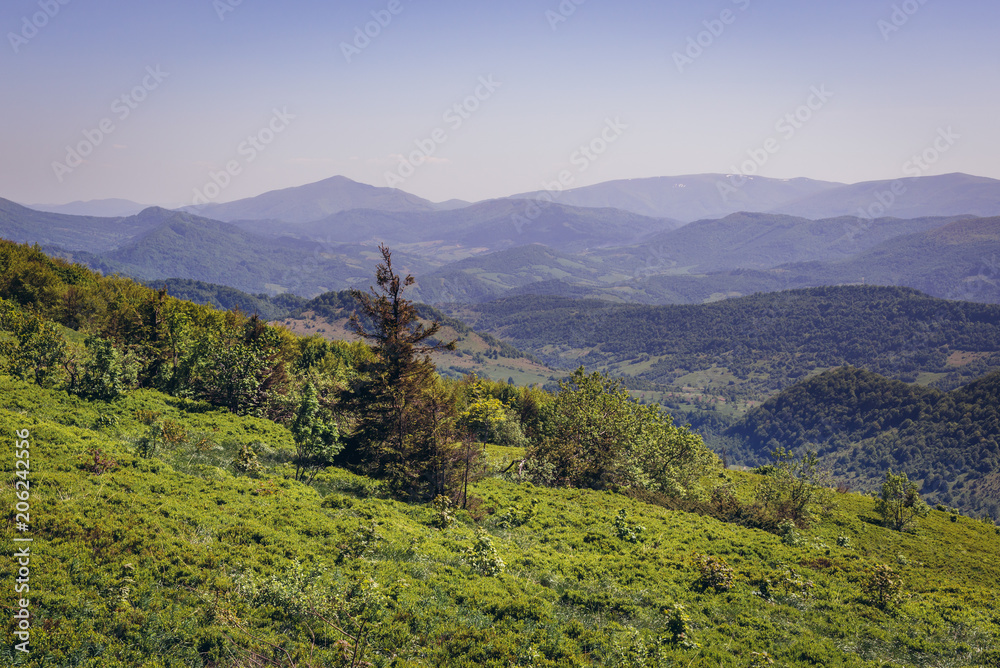 Obraz premium Border zone between Poland and Ukraine seen from a trail near Bukowa mountain pass in Bieszczady Mountains National Park in Poland