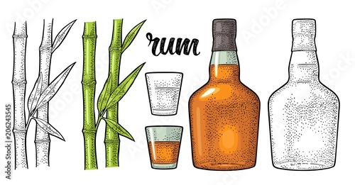 Glass and bottle of rum with sugar cane. Engraving