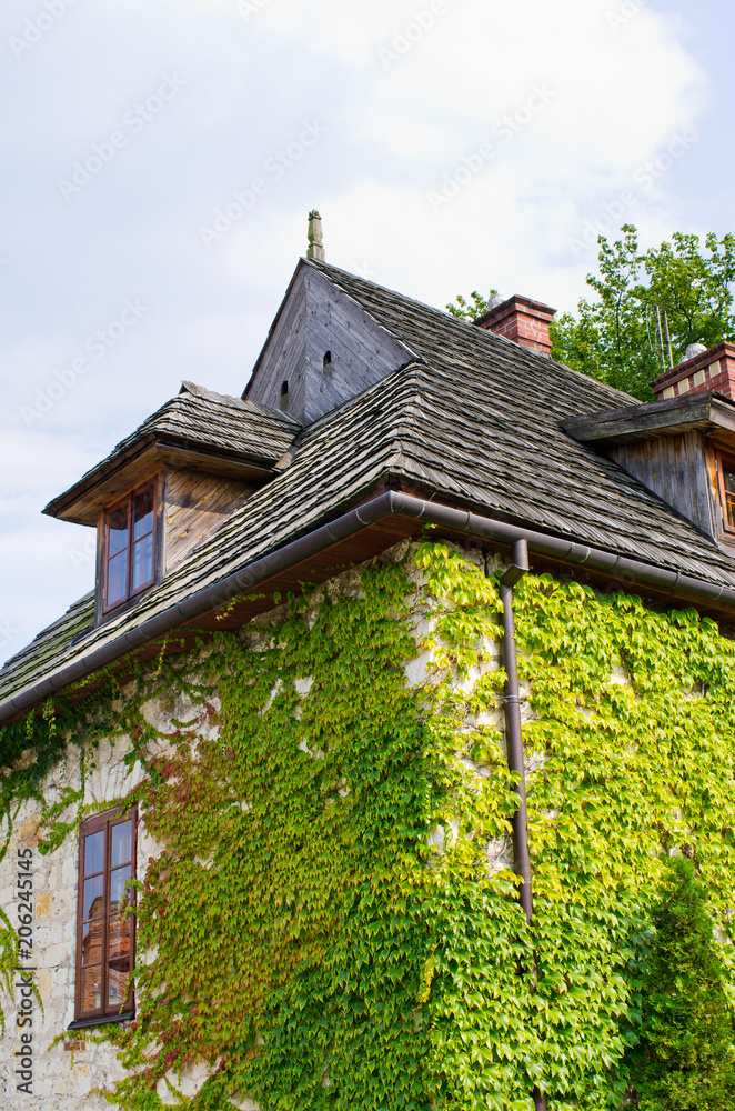House covered by ivy