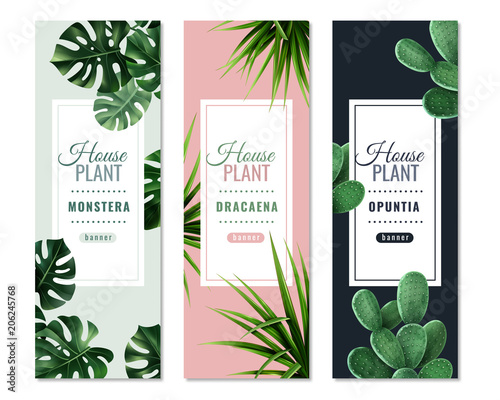 Realistic House Plants Vertical Banners