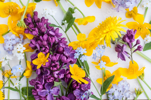 Fototapeta Naklejka Na Ścianę i Meble -  Lilac purple yellow spring flower mix wallpaper