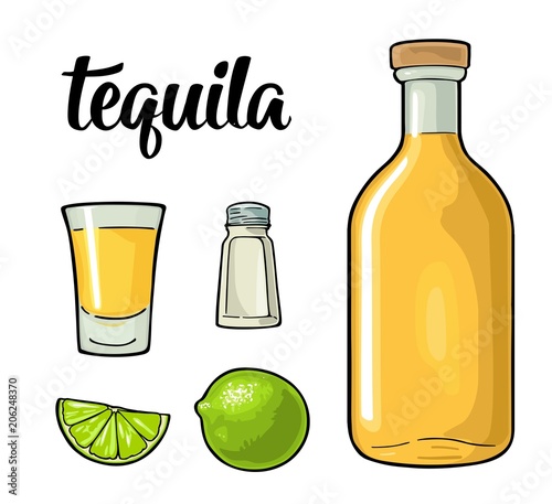 Glass and botlle of tequila. Cactus, salt, lime