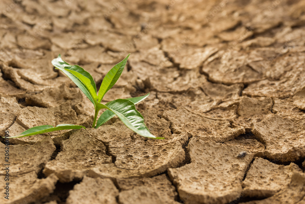 concept about drought or climate change concept about drought or climate change