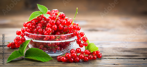 Fresh red currant in the bowl photo