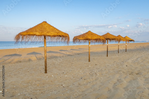 parasol at the beach in row by row © travelview