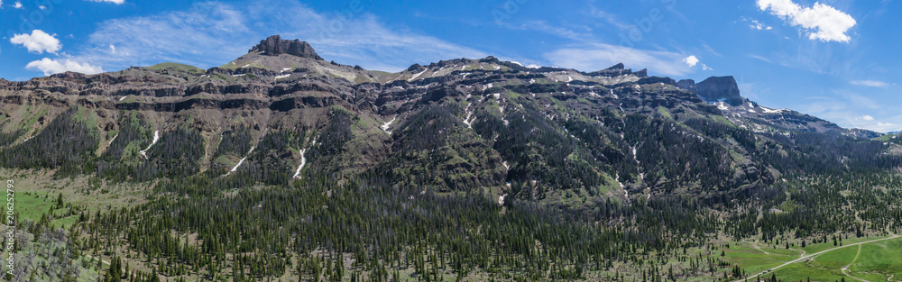 Rocky Mountains and Pine Forest