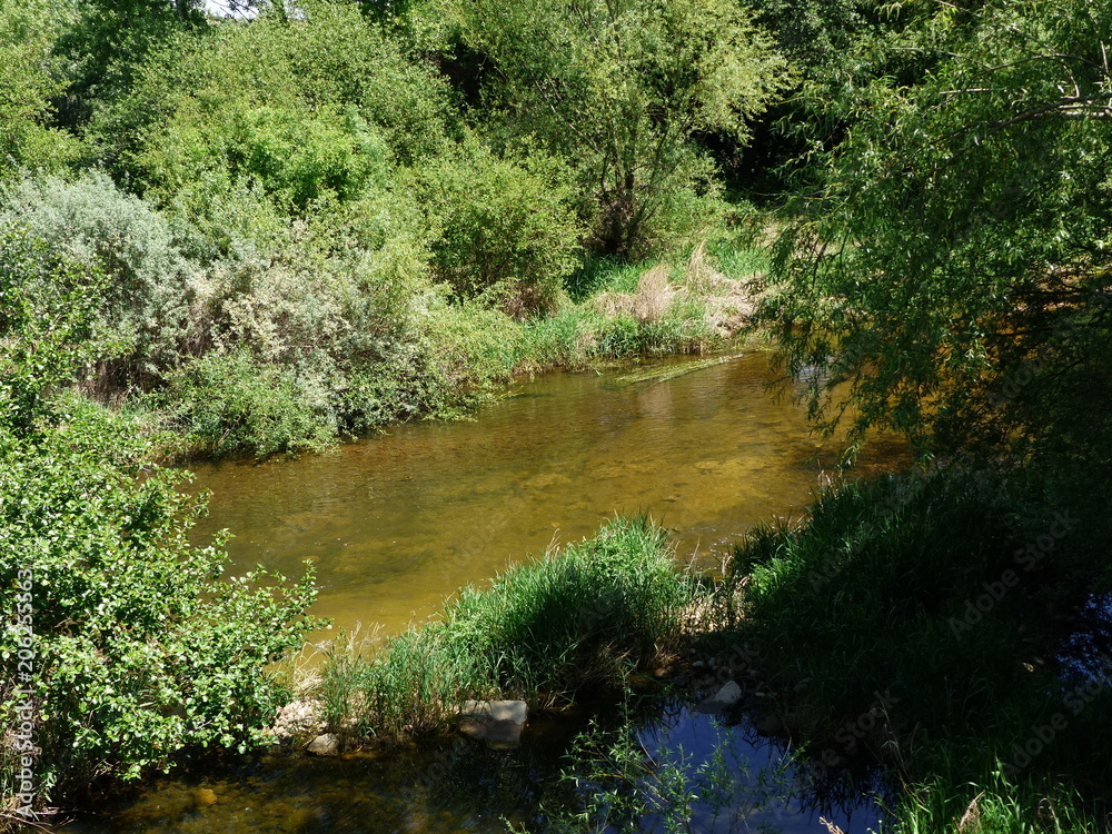RIO EN PRIMAVERA RIO EN PRIMAVERA