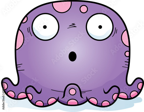 Surprised Little Octopus