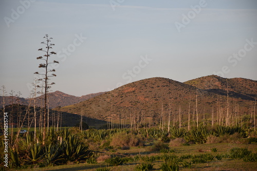 Almeria - Cabo de Gata - Spain