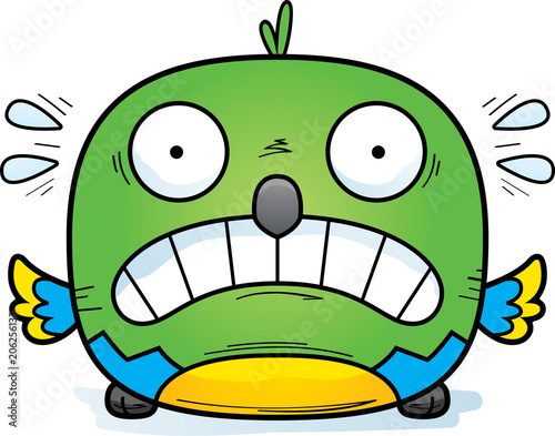 Scared Little Parrot