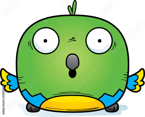 Surprised Little Parrot