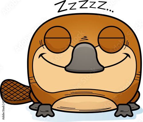 Cartoon Platypus Napping