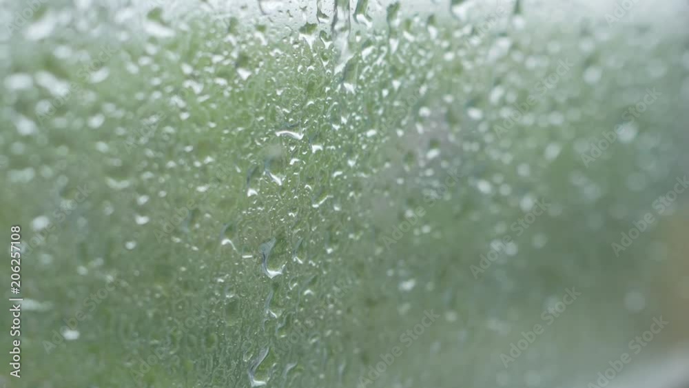 raindrops on the glass, heavy rain, downpour raindrops on the glass, heavy rain, downpour