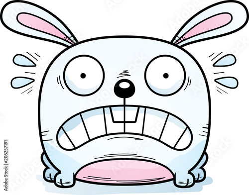 Terrified Little Rabbit