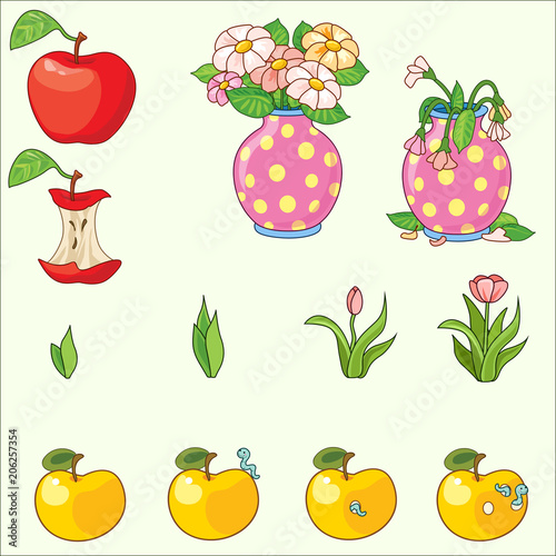 collection of apples and flowers