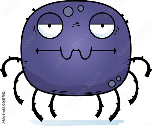 Bored Little Spider