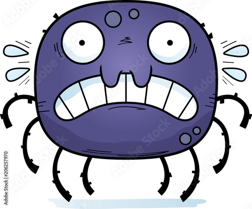 Scared Little Spider