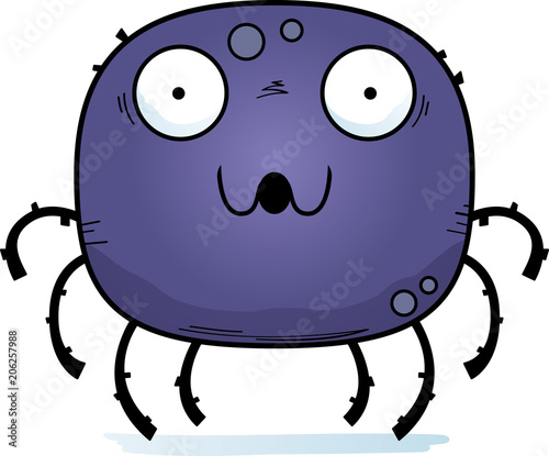 Surprised Little Spider