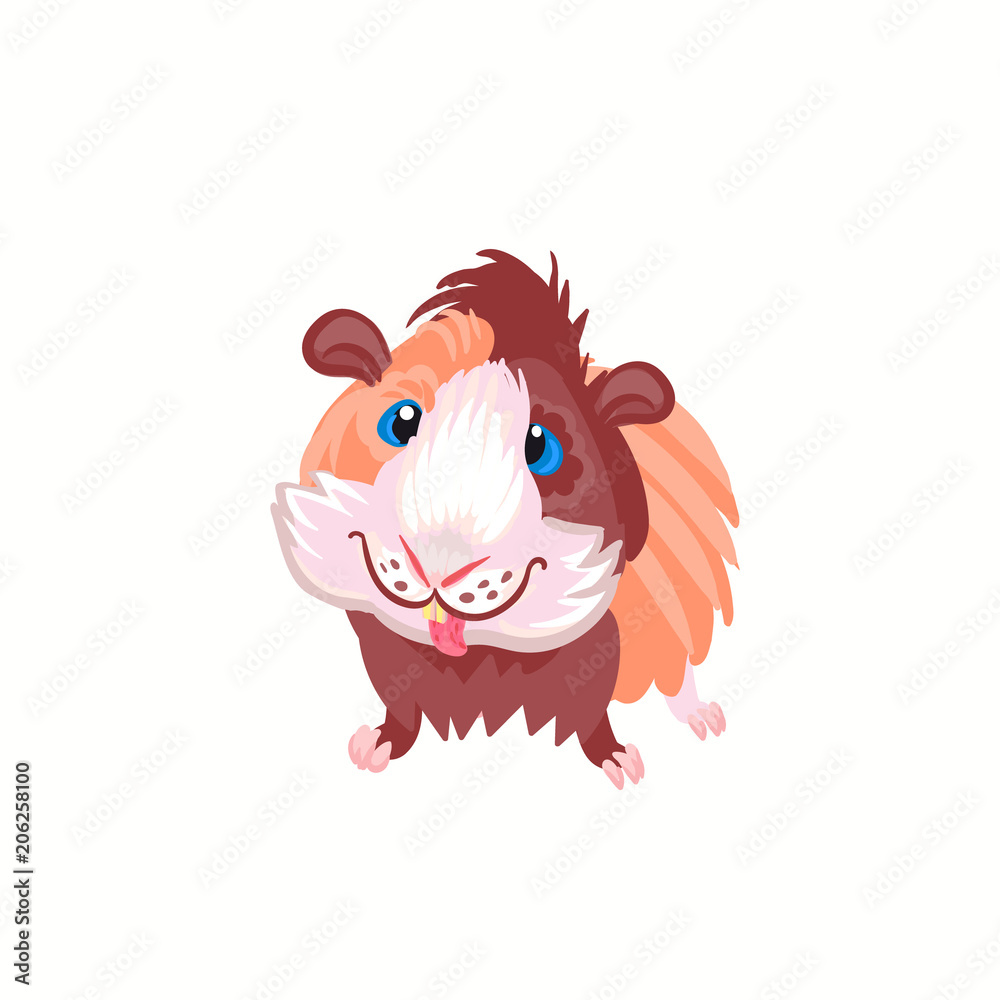 Guinea pig clipart illustration vector Stock Vector Adobe Stock