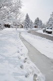 Winter Roads in a Suburban Neighborhoold