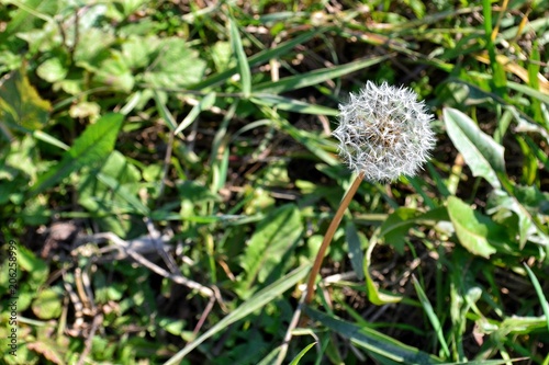 Beautiful in details