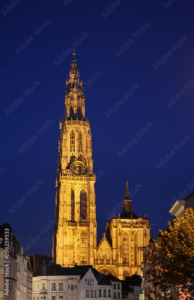 Fototapeta premium Cathedral of Our Lady in Antwerp. Belgium
