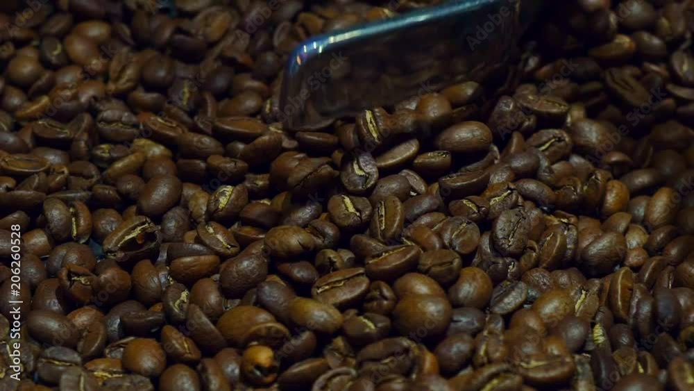 Cooling coffee beans after roasting. Roasting machine, close-up, slow motion