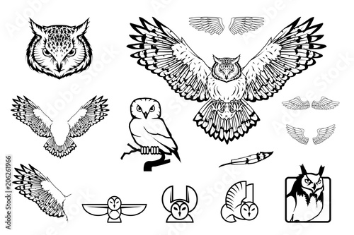 Set of owl logo. Wild birds drawing. Head of an owl. Vector graphics to design.