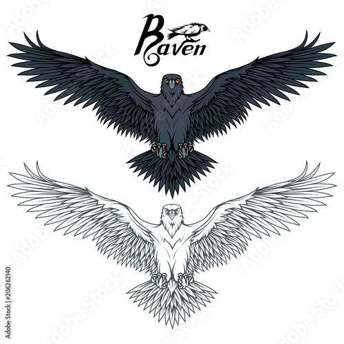 Hand drawn of the raven. Wild birds drawing. Raven logo. Vector graphics to design.