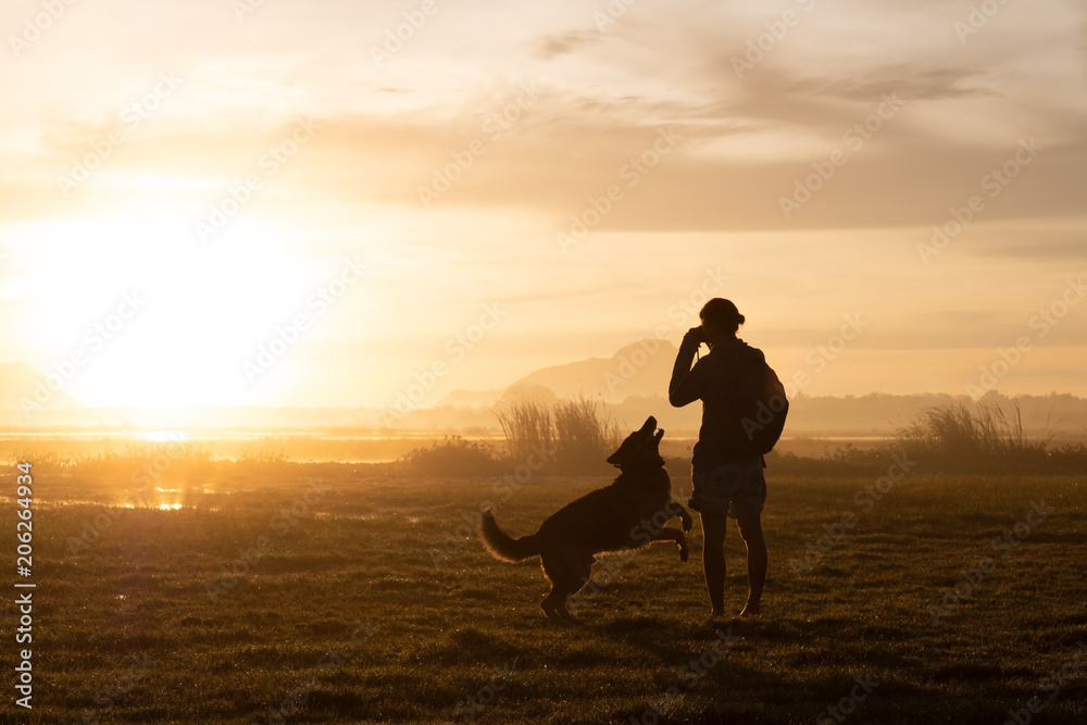 Silhouette of woman and dog walking on sunset or sunrise background.