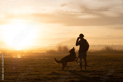 Fototapeta Naklejka Na Ścianę i Meble -  Silhouette of woman and dog walking on sunset or sunrise background.