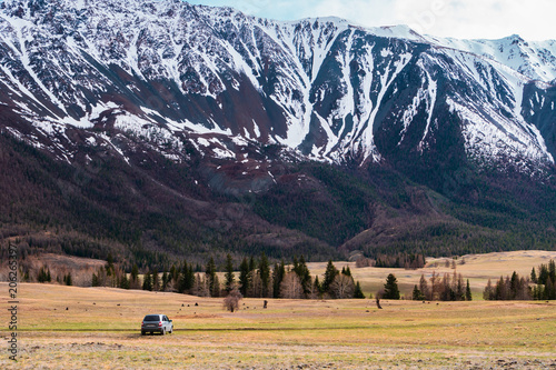 incredible scenery of the mountain valleys of the Altai mountains with cliffs and snow-capped peaks at the foot of which is a car of tourists
