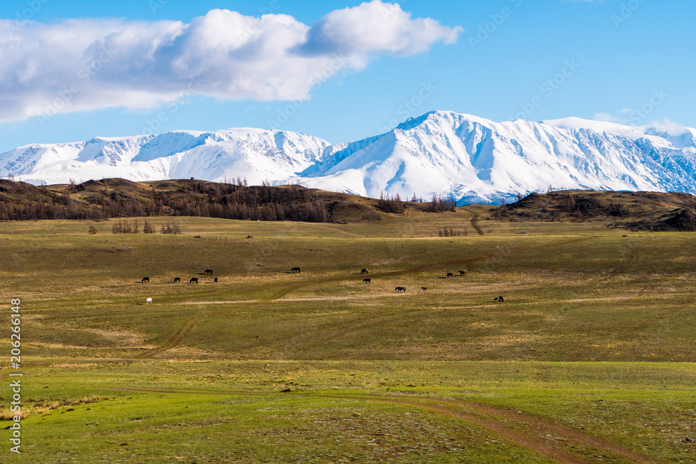 incredible landscape of the steppe area with lakes and trees smoothly turning into mountains with snow-capped peaks. Mountains Of Altai