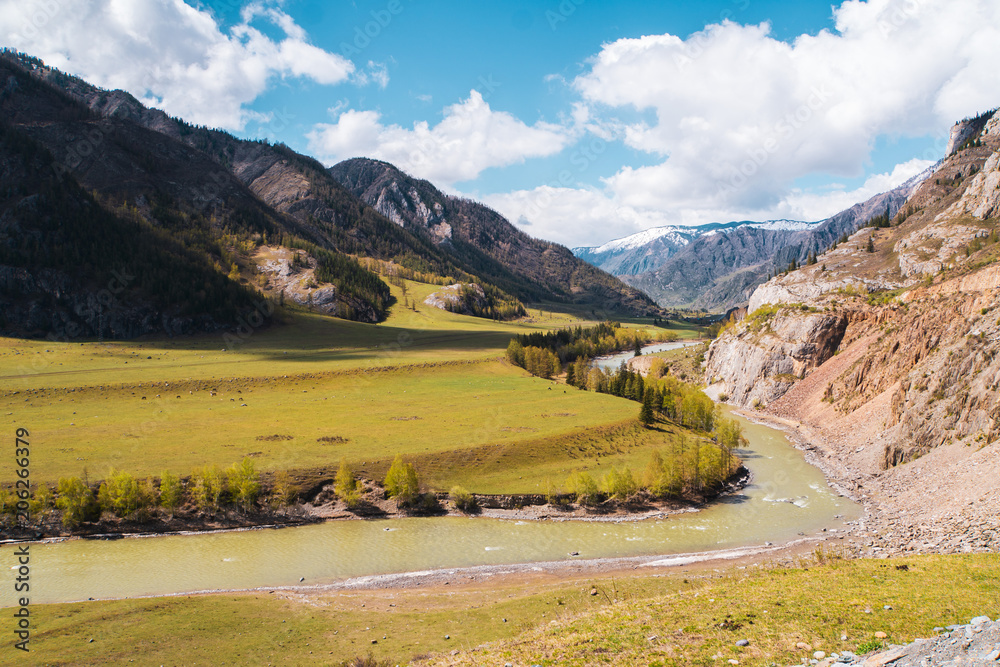 incredible Landscape valley of the Altai mountains with trees, hills and river
