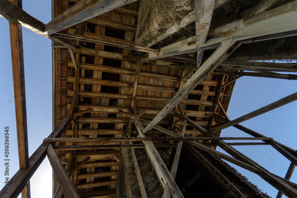 Holzkonstruktion von unten Holzkonstruktion von unten