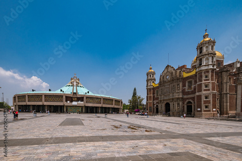 guadalupe basilic in mexico city photo