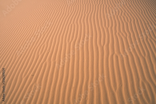 sand texture © maqzet