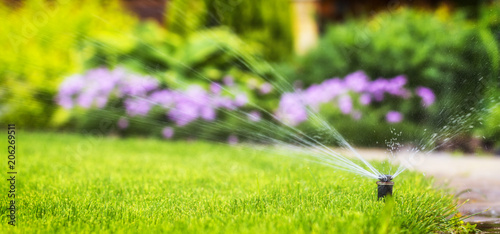 automatic sprinkler system watering the lawn on a background of photo