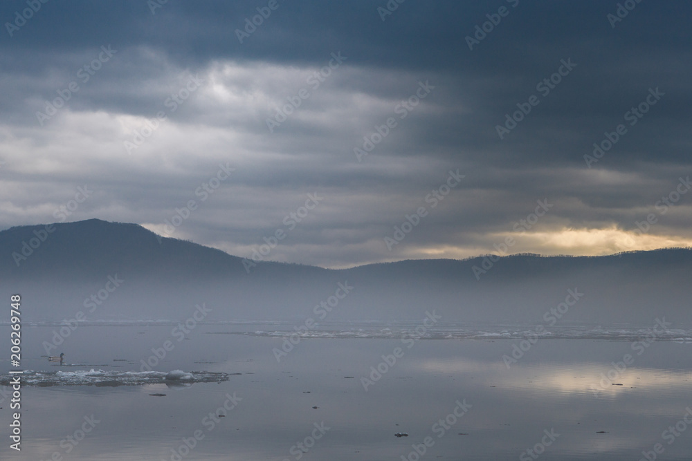 Obraz premium Duck floating on the river