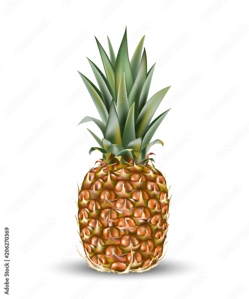 Fototapeta premium Pineapple ananas fruit for fresh juice. 3d realistic yellow, green, brown ripe pineapple isolated on white background for packaging or web design.
