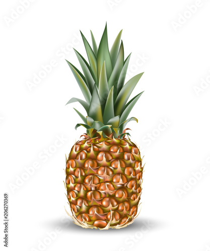 Pineapple ananas fruit for fresh juice. 3d realistic yellow, green, brown ripe pineapple isolated on white background for packaging or web design.